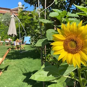  Otel Lemon-ada Butik Türkiye